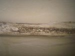 IMG00567-20100823-1909.jpg