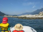 IMG_7970.jpg