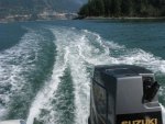 IMG_7977.jpg