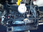 IMG00052-20100829-1822.jpg