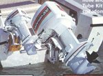 1981 johnson.jpg