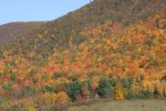 IMG_1175.JPG