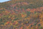 IMG_1176.JPG
