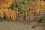 IMG_1177.JPG