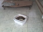 20-10-07_1739.jpg