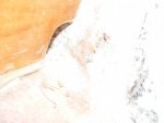 boat 011.jpg