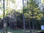 2010_09180068.jpg
