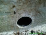 dolphin restore part three  transom  and stringers 015.jpg