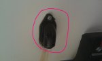 IMAG0048.jpg