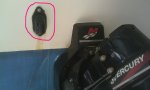 IMAG0049.jpg
