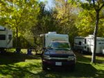 Wildwood Tessa the Trailer 1st weekend 10-9-10 016.jpg