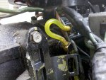 IMG_20101013_091932.jpg