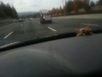 Furniture_movers.jpg