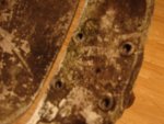 DSC04407.jpg