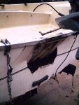 Evinrude  11-25-10 002.jpg