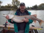 bigmuskie.jpg