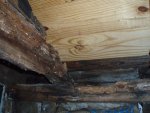 attic_2_lr.jpg
