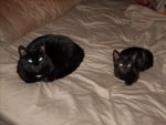 kiki & sam 001.JPG