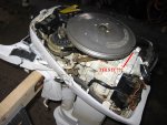 9.9 model number.jpg