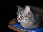 DSCN4281.jpg
