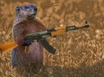 Armedgroundhog.jpg