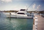Conquest, Green Turtle, BS0001.jpg
