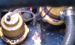 IMAG0318.jpg