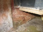 IMG_3604_1.jpg
