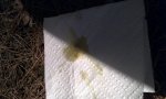 IMAG0042.jpg