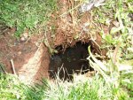 Spring2011 030small.jpg
