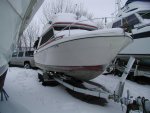 Oaf In The Snow the Day I Bought Her.jpg