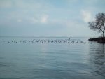 100_0721    60.jpg