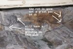 Boat 15 low.jpg