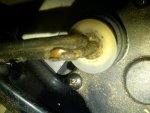 IMG00327-20110516-1401.jpg