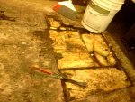 IMG_20110521_233217.jpg