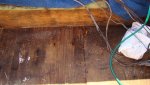 DSC07842.jpg