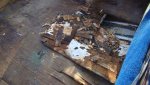 DSC07845.jpg