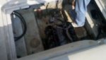 2011-05-28_16-07-52_12.jpg
