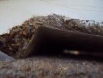 DSC00345.JPG