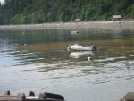IMG_boat.jpg
