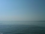 IMG00058-20110705-0916.jpg