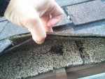 2011-07-08 18.32.27.jpg