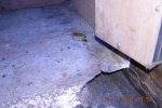 DSCN1454.jpg