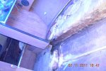 DSCN1447.jpg