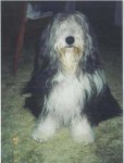 WILLOW SMALL2.jpg