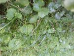 2011-07-24 20.40.45.jpg