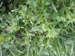 2011-07-24 20.37.36.jpg