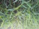 2011-07-24 20.40.00.jpg