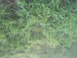 2011-07-24 20.40.09.jpg