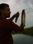 IMG_0163.jpg